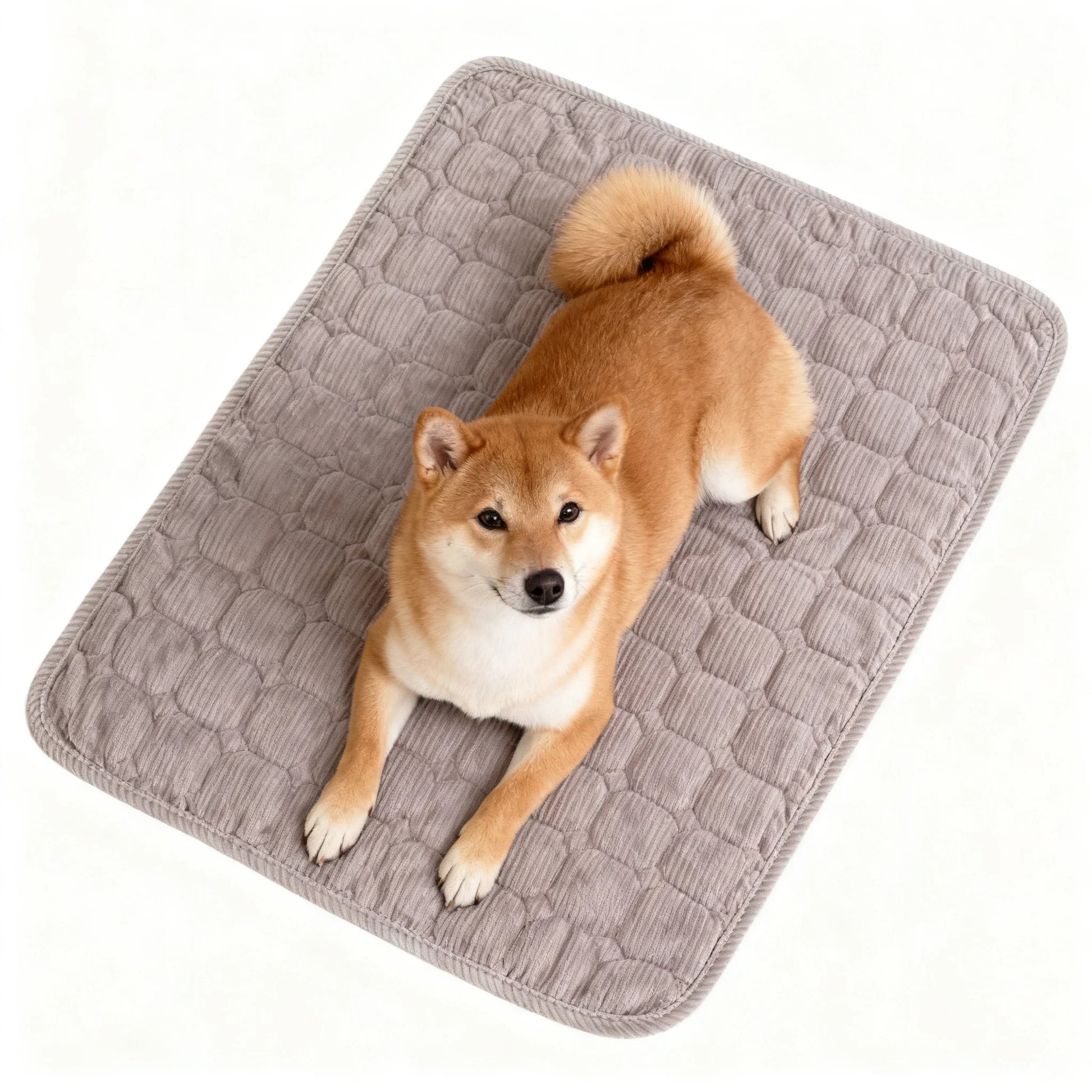 Extra Large Dog Crate Mat,48 X 36 Inch Washable Dog Bed Mat for Crate Mats for Dog Cage Mat Dog Kennel Pad Dog Kennel Mat Dog Crate Liner Dog Beds for Large Dog